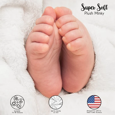 Sweet Jojo Designs Girl Baby Milestone Blanket Butterfly Blush Pink And Purple 6 Sweet Jojo Designs Girl Baby Milestone Blanket Butterfly Blush Pink And Purple - Image 4