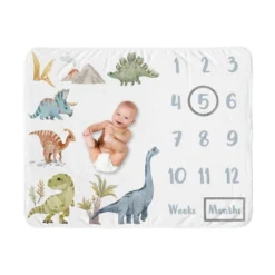 Sweet Jojo Designs Boy Baby Milestone Blanket Watercolor Dinosaur Dino Multicolor -Smart Baby Decor GUEST 64f2d3c5 a16c 40f0 8c89 a85849d560ff