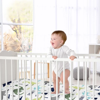 Sweet Jojo Designs Fitted Crib Sheet - Blue & Green Mod Dino 3 Sweet Jojo Designs Fitted Crib Sheet - Blue & Green Mod Dino